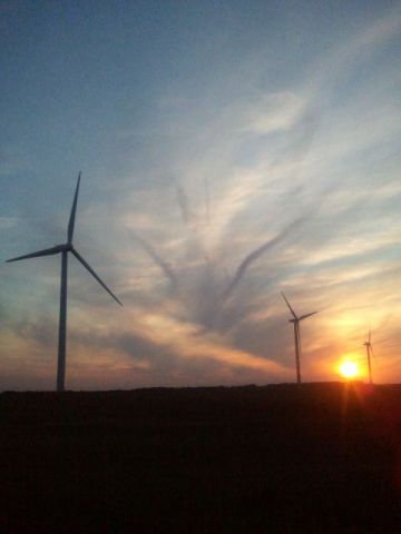 éoliennes - Photo - domroca