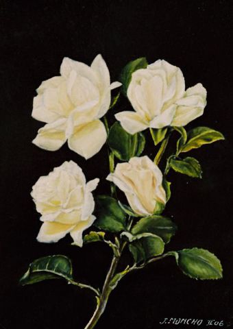 Roses blanches - Peinture - Jacques MONCHO
