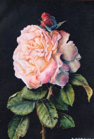 L'artiste Jacques MONCHO - Une rose pour...