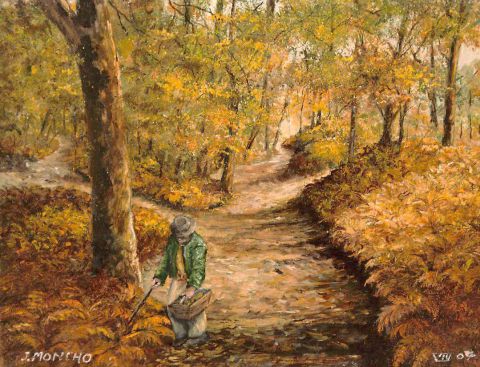 L'artiste Jacques MONCHO - Un sous bois en automne