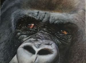 Voir cette oeuvre de Salsa: Gorille