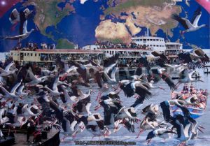 Artiste yam artiviste