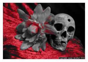 Artiste serge streibel - zorka60