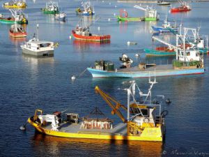 Artiste Memario Vespa