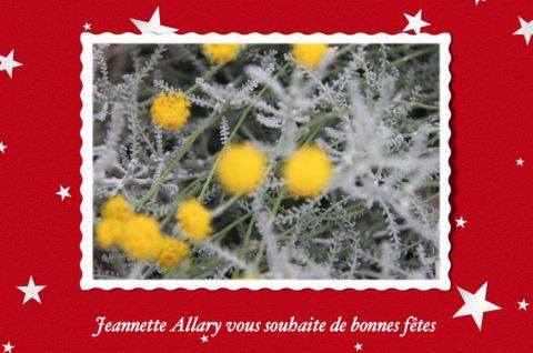 BONNES FETES - Autre - Jeannette ALLARY