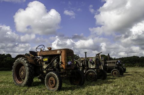 Tracteur de collection  - Photo - Memario Vespa