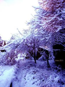 Photo de chara: Chalet neigeux