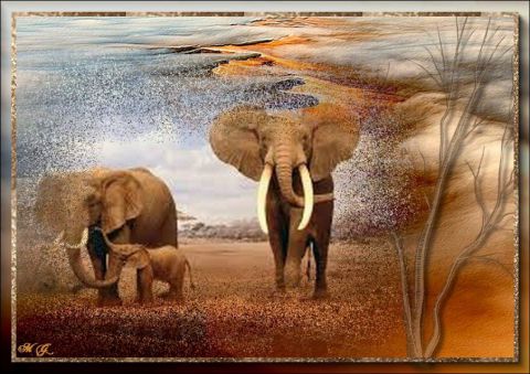 L'artiste Malougraphisme - éléphants