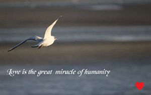 Artiste Thomas Figaro