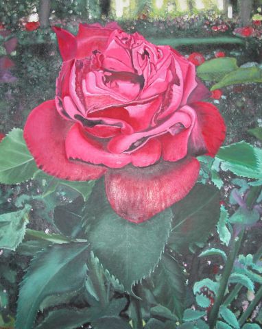 rose du galebiersch - Peinture - Dennicodemo
