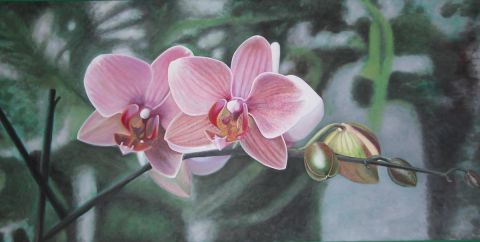 orchidee.dennico - Peinture - Dennicodemo