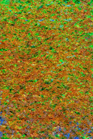 Après l'hiver E1v - Art numerique - FCRN Après l'hiver E1v - Art numerique - FCRN