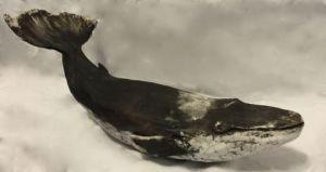 Sculpture de SANDRINE MESNIL: baleine 