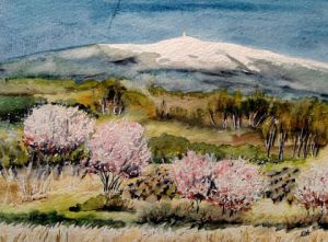 Voir cette oeuvre de Ewa REY: Le printemps au Mont Ventoux