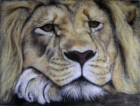 L'artiste perronno nelly - lion