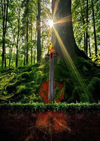 L'artiste Frederic Bouillet - Racines musicales L'artiste Frederic Bouillet - Racines musicales