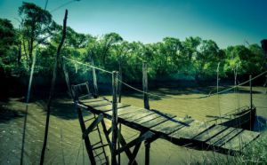 Artiste Lymatly Photos