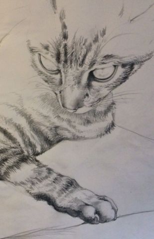 L'artiste Patgreen  -  Grisby le chat 