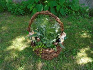 Artisanat de rosebouleau: panier pic-nique de jardin