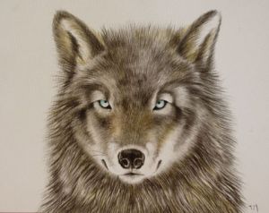 Artiste Thierry Mauris