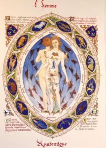 Oeuvre de Gribouilly: L'Homme Anatomique