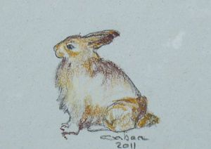 Voir cette oeuvre de Raphael: lapin