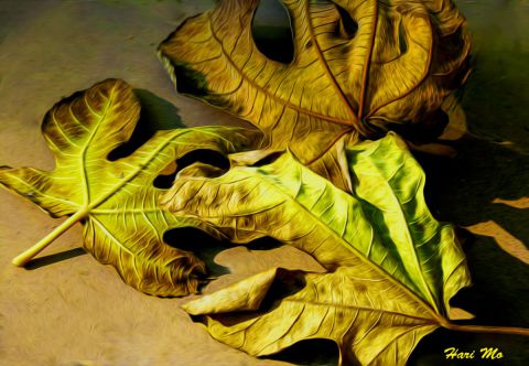 L'artiste harimoart - feuilles mortes 2