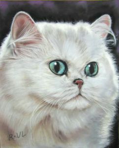 Voir cette oeuvre de richard van lierde: chat persan
