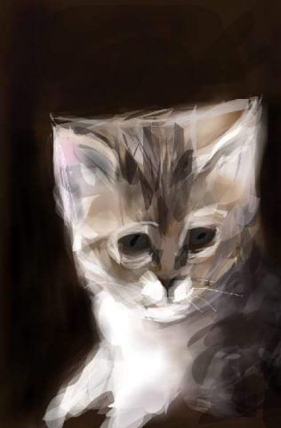Le petit chat - Art numerique - Jacky Patin