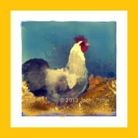 L'artiste Jacky Patin - Le petit coq
