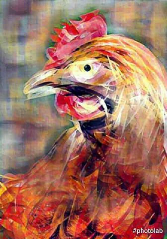La poule rousse - Art numerique - Jacky Patin