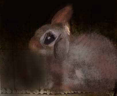 Le petit lapin - Art numerique - Jacky Patin