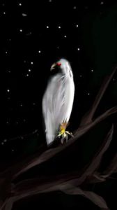 Art_numerique de Jacky Patin: L'oiseau de nuit... 