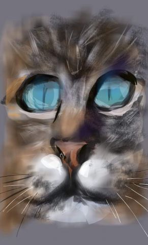 L'artiste Jacky Patin - Les yeux du chat... 