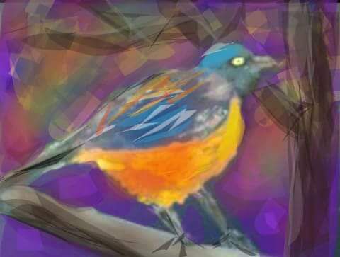 Le petit oiseau...  - Art numerique - Jacky Patin