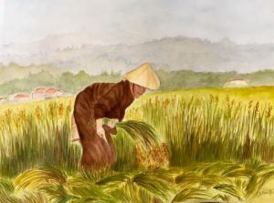 Voir cette oeuvre de Germaine Mauclere: Récolte du Riz