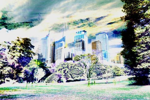 L'artiste FRANCOIS VEILLET - D'après une vue de Sydney du Royal Botanic Garden
