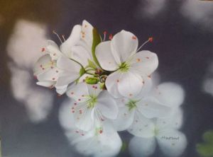 Peinture de Jacqueline HAUTBOUT: Fleurs de cerisier
