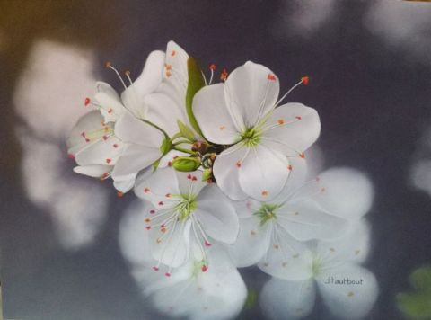 L'artiste Jacqueline HAUTBOUT - Fleurs de cerisier
