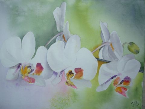 orchidees blanches - Peinture - Jacques Masclet 