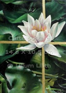 Voir le détail de cette oeuvre: Carte postale, lotus, nénuphar, (peinture à l'huile)