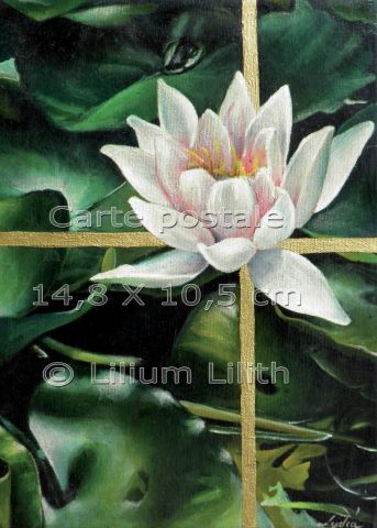 L'artiste Lilium Lilith - Carte postale, lotus, nénuphar, (peinture à l'huile)