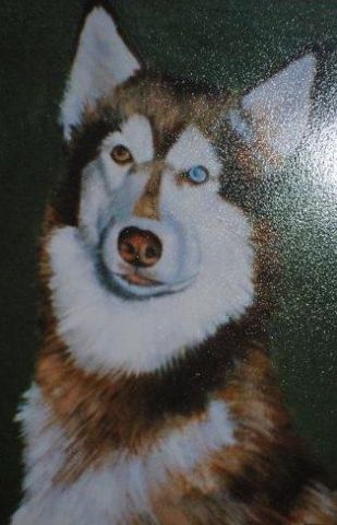 portrait de chien - Peinture - bernard delalaing