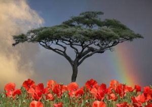 Artiste Max Parisot du Lyaumont