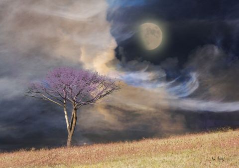 L'artiste Max Parisot du Lyaumont - Arbre et champ sous un ciel violet