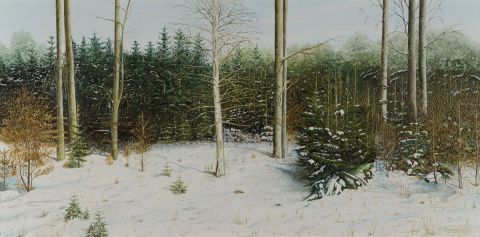 L'artiste RA FREDERICK - premières neiges