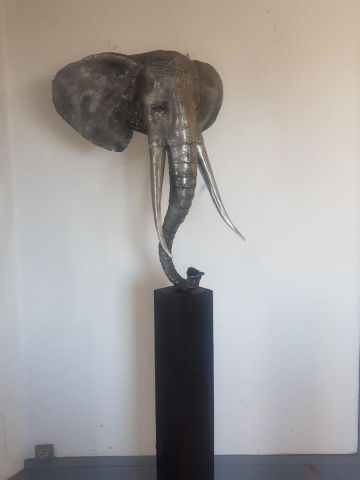 Buste elephant - Sculpture - GRANDGI