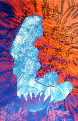 Power flowers - Art numerique - GilL Power flowers - Art numerique - GilL