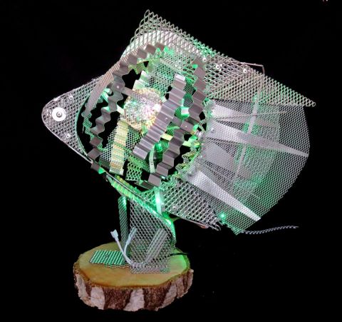 FISH 2 - Mixte - Leray Louis FISH 2 - Mixte - Leray Louis