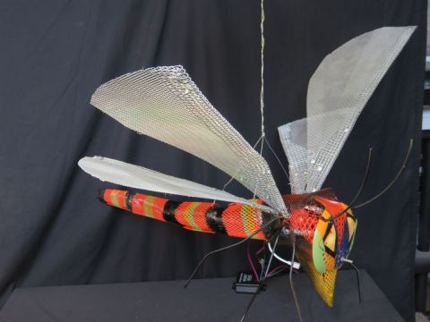 WOW La Libellule - Mixte - Leray Louis WOW La Libellule - Mixte - Leray Louis